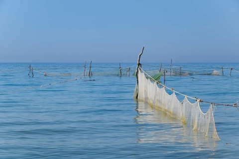 Fishing nets set in the sea. Golubitskaya, Russia