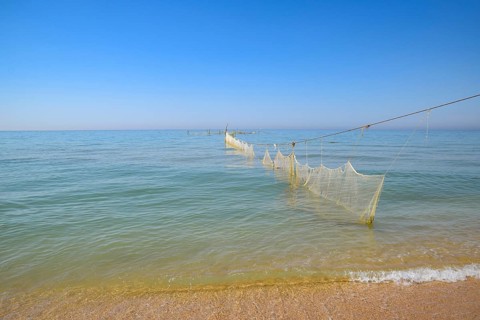 Fishing nets set in the sea. Golubitskaya, Russia