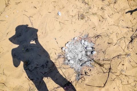 The shadow of a woman near an extinct fire with baked potatoes. Golubitskaya, Russia