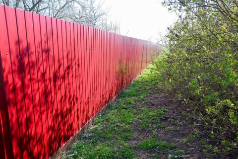 Green grass by the red fence. Atyrau, Kazakhstan