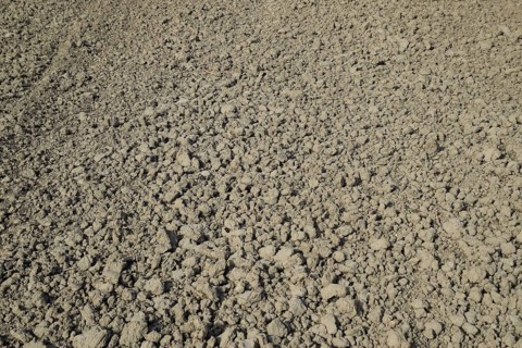Plowed field, rows from soybean sowing. Atyrau, Kazakhstan