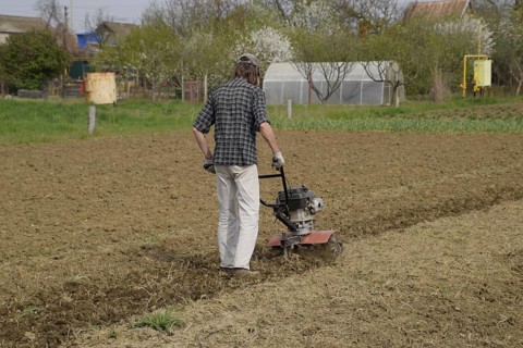 A man plows a tiller in the garden. Atyrau, Kazakhstan