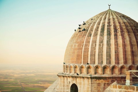 Historic dome of Ulu Cami mosque with pigeons perched, overlooking Mesopotamian plains in Mardin,