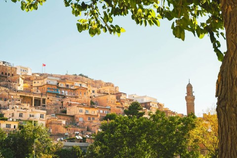 Historic stone houses of Mardin with rising minaret on hillside, framed by tree branches and summer