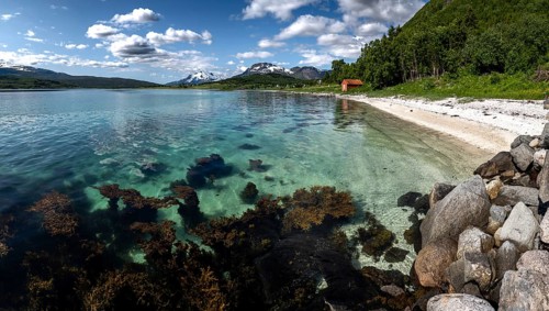White Sand Beach, Clear Water And Snowy Mountains At The Fjord Cost Of Lofoten Islands In Norway