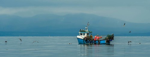 Small Fishing Boat With Lobster Pods And Seagulls On Calm Atlantic In Front Of The Hebride Islands