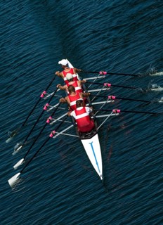 Four Male Rowers In A Quad Racing Boat With Synchronous Oar Stroke During A Regatta, Austria