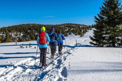 Group Of Sporty Hikers With Snowshoes On A Trail Through Winter Landscape On Mountain Rax In The