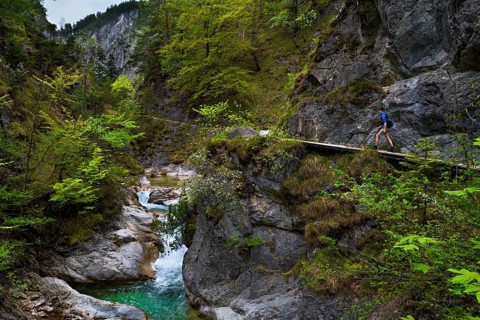 Young Man Hiking Beneath Clear And Wild Mountain River In Green Canyon In Ötschergräben In Austria