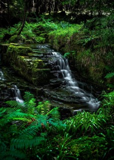 Small Long Exposured Creek With Waterfall In Mystic Forest Near Ullapool In Scotland, United