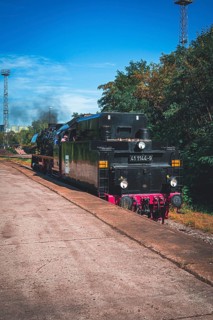 An old steam locomotive stands on the tracks next to an overgrown platform under a blue sky, Gera,
