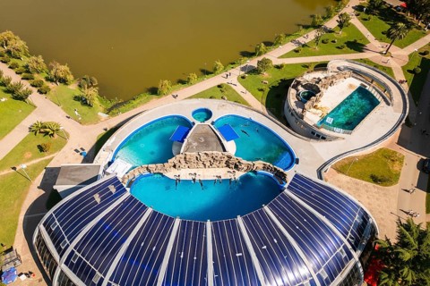 Batumi, Georgia - 7th august, 2025: Aerial view Batumi Georgia dolphinarium with pools beside