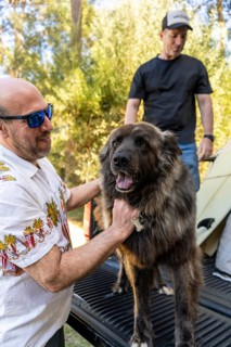 Man petting his happy dog on a surf trip