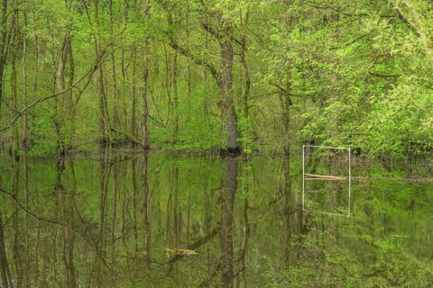 Submerged alluvial forest and a football goal on an oxbow lake of the Sava, Cigoc, Sisak-Moslavina