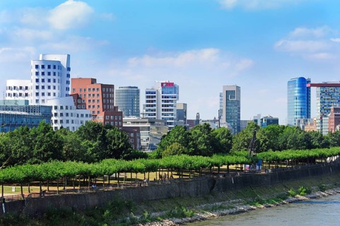 Media Harbour, modern architecture on the Rhine, Düsseldorf, Rhineland, North Rhine-Westphalia,