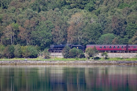 A steam train passes through a wooded area alongside a tranquil body of water, Hogwarts Express,