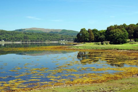 A still loch reflects the blue sky and surrounding green landscape, Loch Eil, Scotland, United