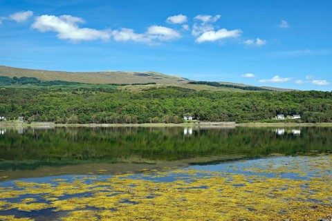 A clear mountain loch reflects the surrounding green hills and blue sky, Loch Eil, Scotland, United