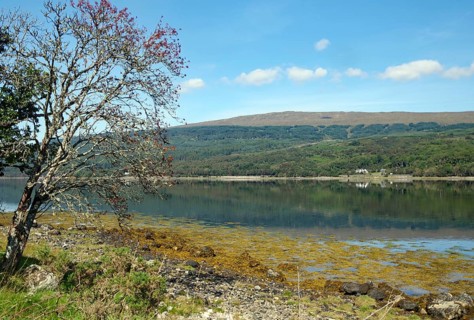 Peaceful loch with views of distant hills and a bare tree, Loch Eil, Scotland, United Kingdom