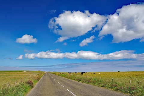 Endless road under a sky full of clouds, surrounded by fields with cows, Orkney Islands, Westray,