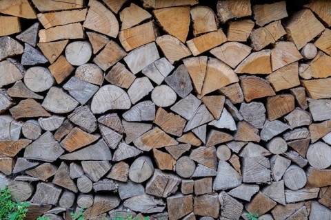 Wood pile, firewood, wood supply, North Rhine-Westphalia, Germany