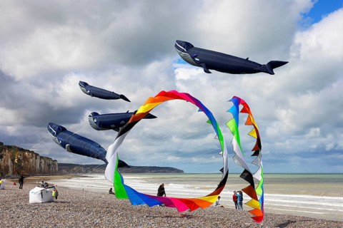 Kite festival on the beach, international kite festival, kites in the shape of whales, Dieppe,