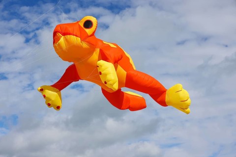 Kite festival, international kite festival, kite in the shape of a frog, Dieppe, Normandy, France