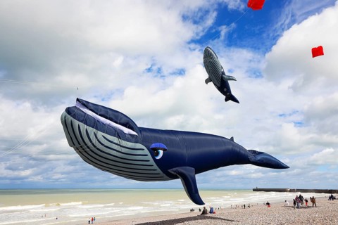 Kite festival on the beach, international kite festival, kites in the shape of whales, Dieppe,