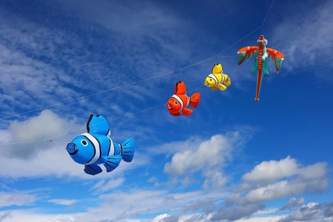 Kite Festival, International Kite Festival, Dieppe, Normandy, France