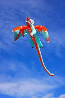 Kite festival, international kite festival, kite in the shape of a kite, Dieppe, Normandy, France