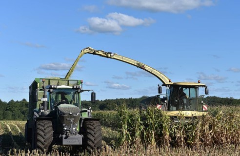 Forage harvester and tractor harvesting maize, Schleswig-Holstein, Germany