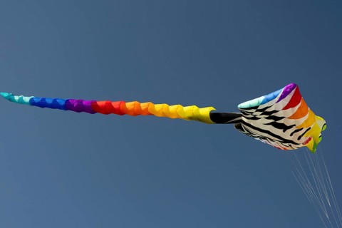 CITY AND COUNTRY Festival of GIANT DRAGONS 2025, 27 September 2025, Tempelhofer Feld, Berlin,