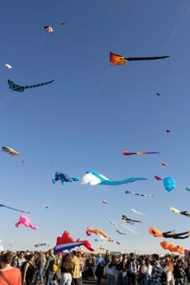 CITY AND COUNTRY Festival of GIANT DRAGONS 2025, 27 September 2025, Tempelhofer Feld, Berlin,