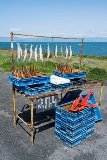 An improvised stall selling fresh and smoked fish near a lake under a clear sky, fish sale on the
