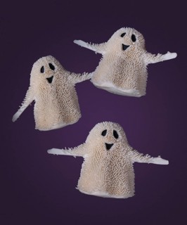 Three funny ghosts are flying on a purple background