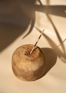 Coconut with a straw on a beige background, with a shadow