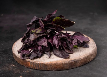 Bunch of basil lies on round wooden board on dark background