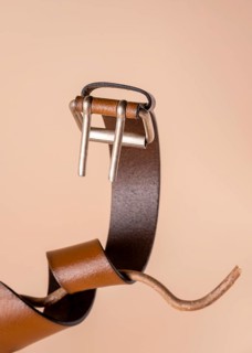 A red belt wrapped around a branch like a snake, with space for text on a beige background