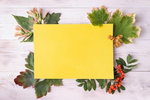 Yellow blank card, greeting card concept with leaves, fall and autumn
