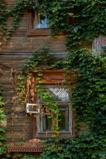 Fragment of an abandoned 19th century wooden house covered in ivy, Nizhny Novgorod, Russia