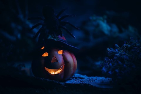 Spider on a glowing pumpkin lantern, mystical Halloween atmosphere