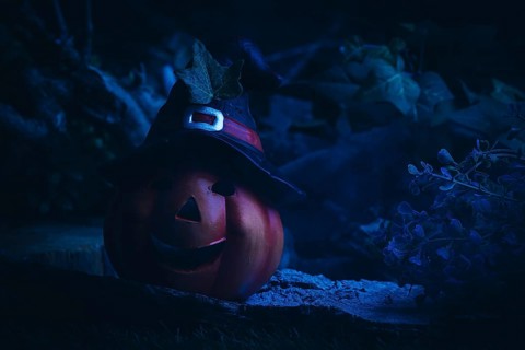 Blue illuminated pumpkin lantern with witch's hat on a dark night