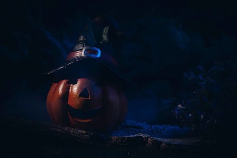 Pumpkin lantern with witch's hat in dark, spooky surroundings