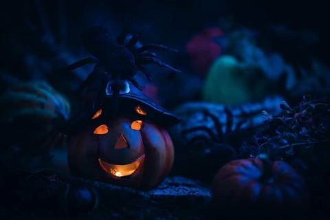 Pumpkin lantern with witch's hat and spider in a dark, mystical setting, Halloween atmosphere
