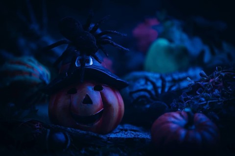 Pumpkin lantern with spider, surrounded by spooky Halloween decorations