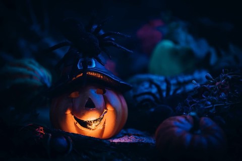 Glowing pumpkin with witch's hat, surrounded by spiders and other pumpkins, Halloween atmosphere