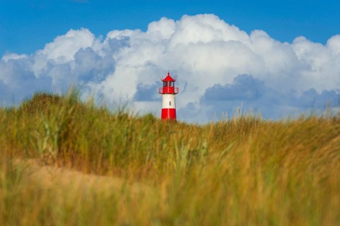 The Lister lighthouse at Ellenbogen, morning light, morning mood, dune, North Sea island, Sylt