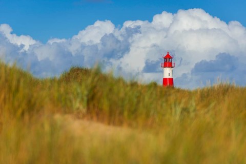 The Lister lighthouse at Ellenbogen, morning light, morning mood, dune, North Sea island, Sylt