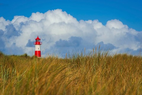 The Lister lighthouse at Ellenbogen, morning light, morning mood, dune, North Sea island, Sylt