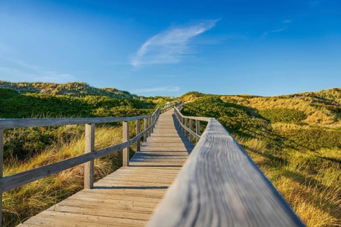 Footbridge, path, wooden walkway through the dunes, Sylt